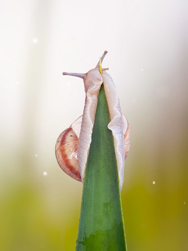 Photograph by Yousef