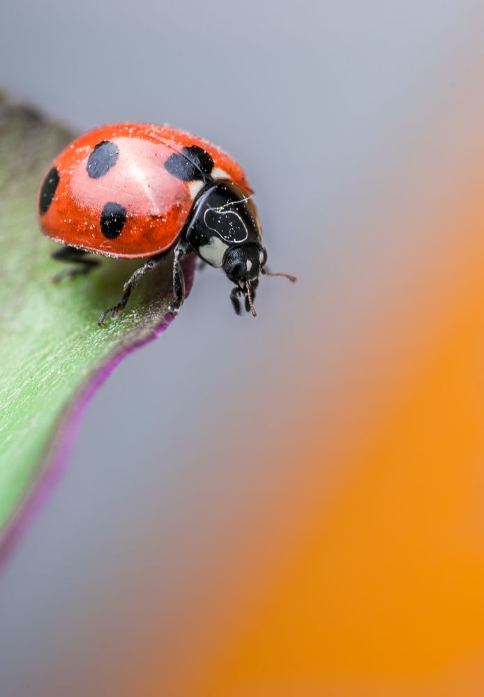 Photograph by Youness Fakoiallah