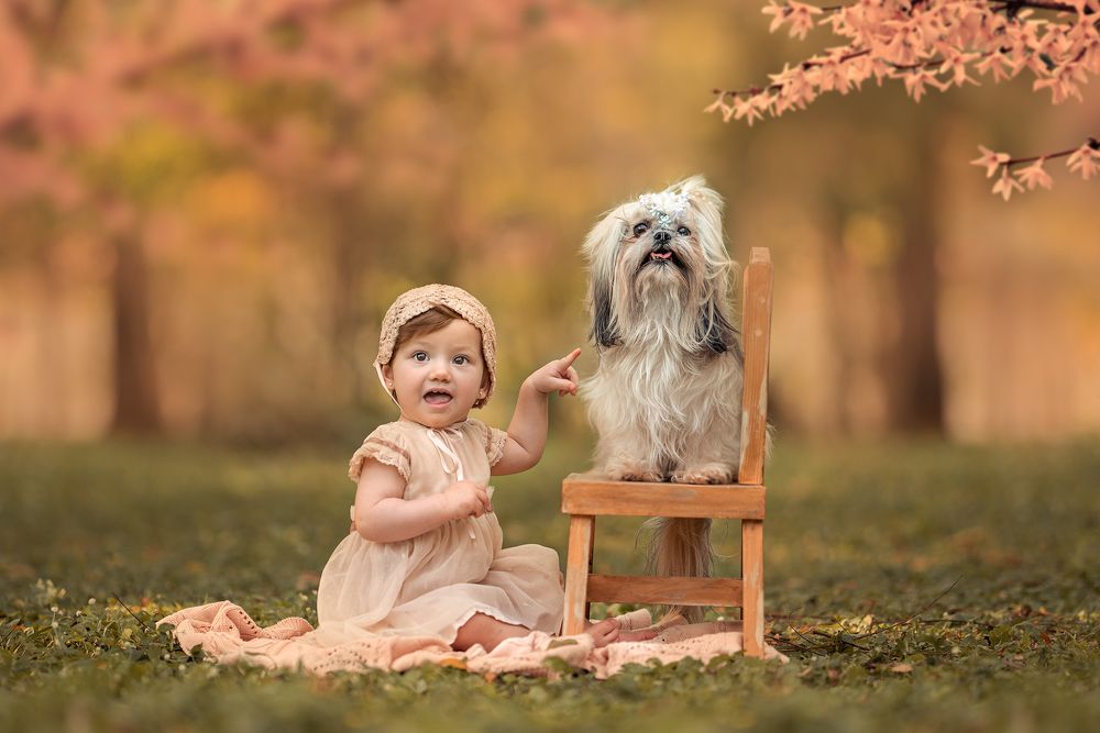 Photograph by Ana Troncoso