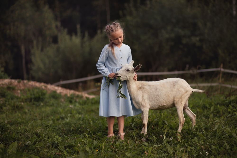 Photograph by Диана Кириллова