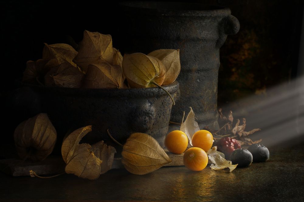 Photograph by Eduardo Modolo