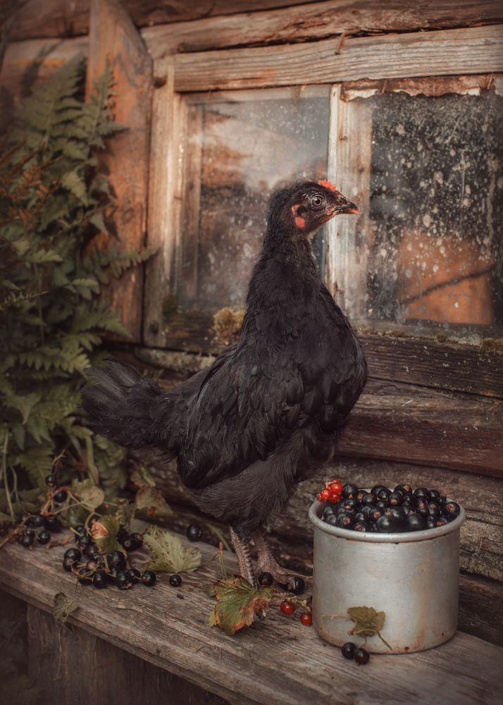 Photograph by Ольга Лобачёва