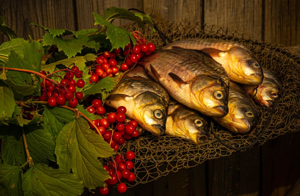 Photograph by Ринат Файзуллин