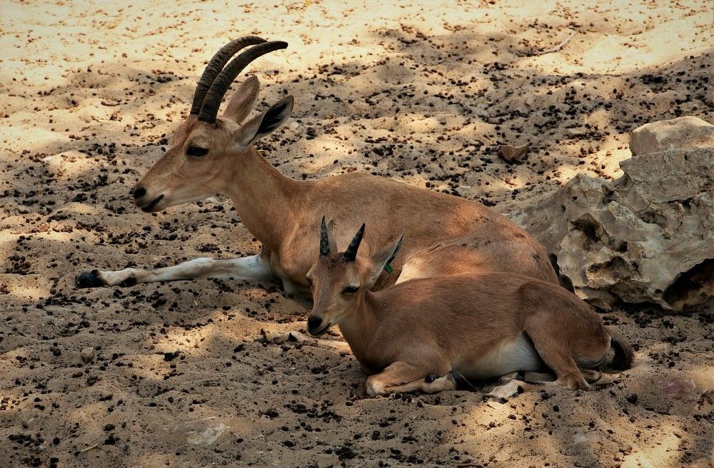 Photograph by Людмила Бутова