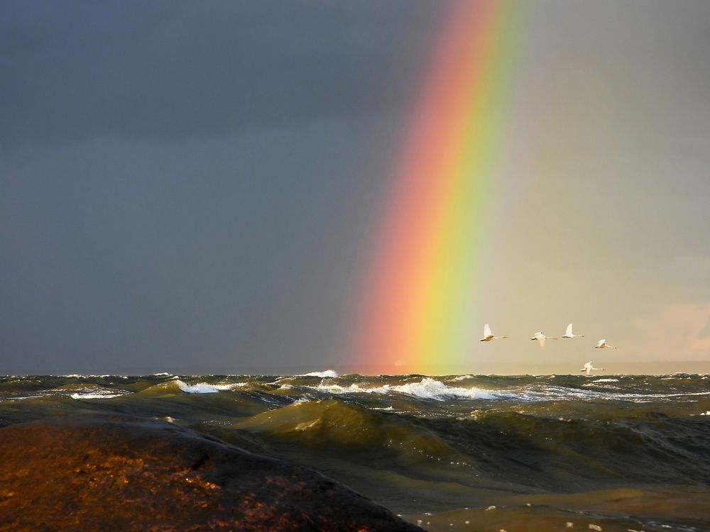 Photograph by Andrei Nikitin