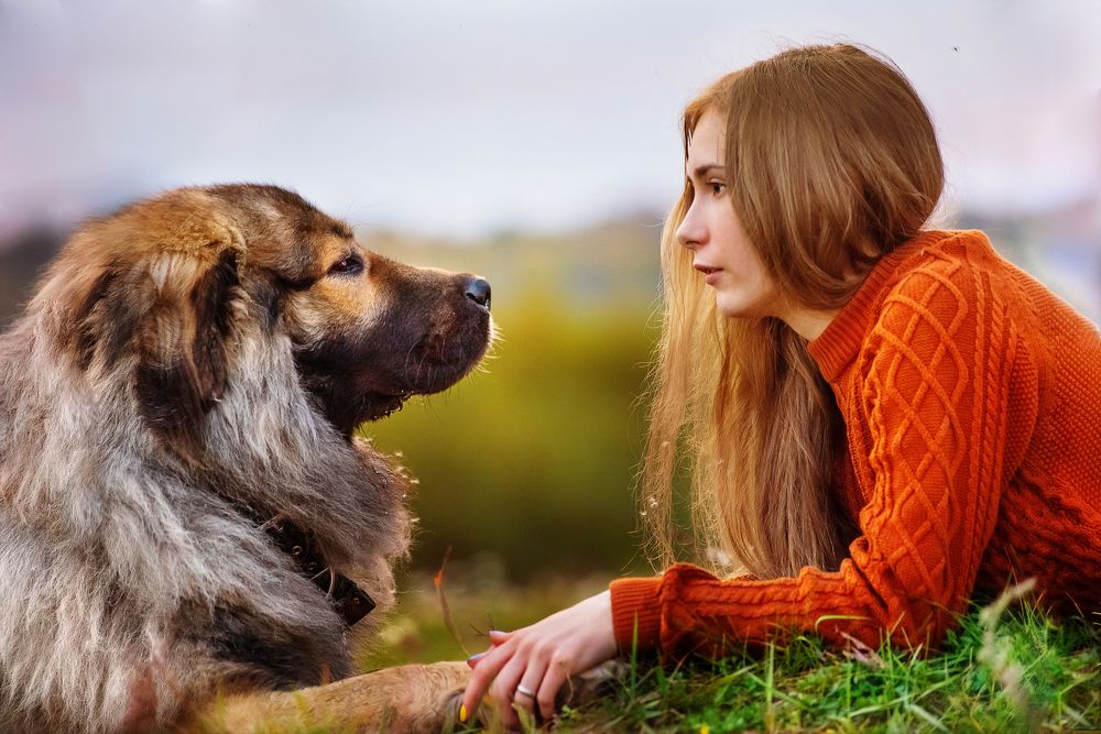 Фотография автора Александра Джумаева