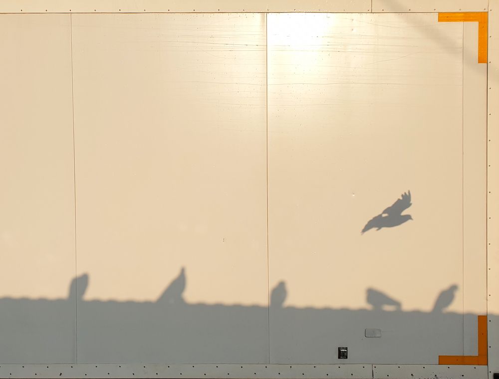 Фотография автора Роман Москвичев