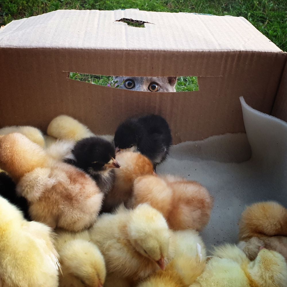 Эти глаза напротив