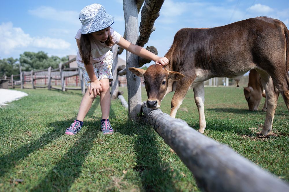 Photograph by Ирина