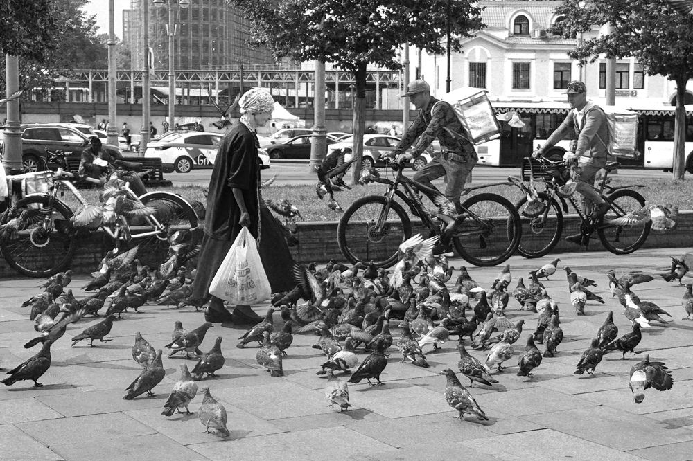 Photograph by Елена Никонова