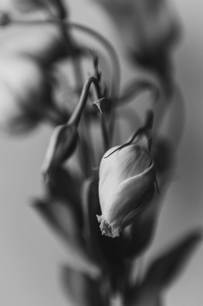 Photograph by Диана Качегина