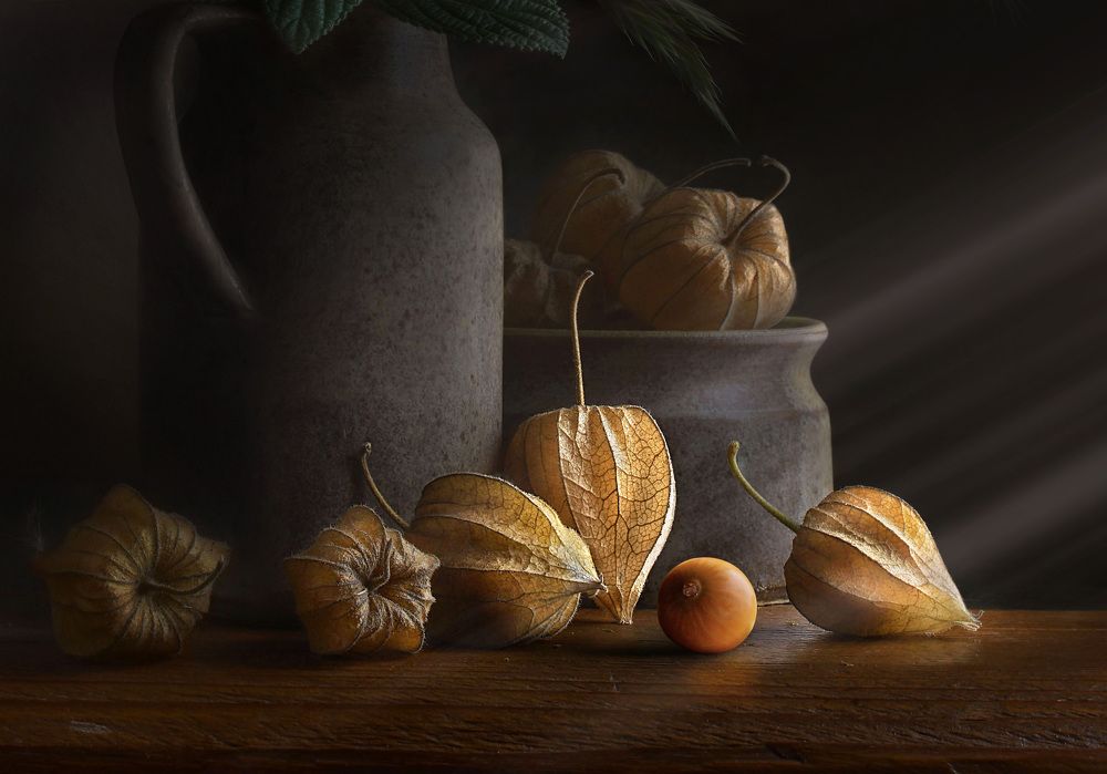 Photograph by Eduardo Modolo