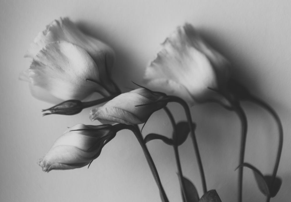 Photograph by Диана Качегина