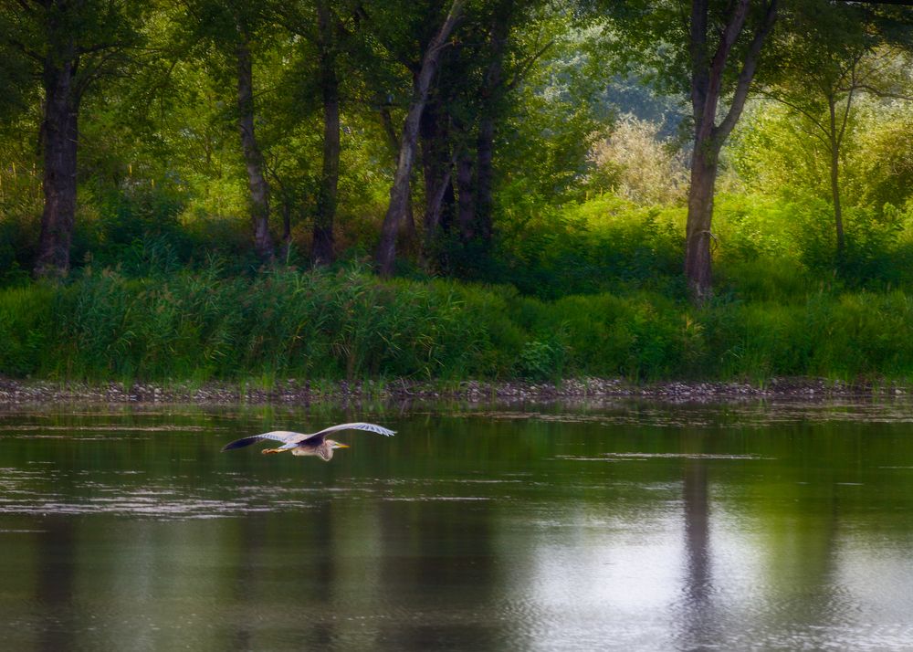 Photograph by Владимир Кваша