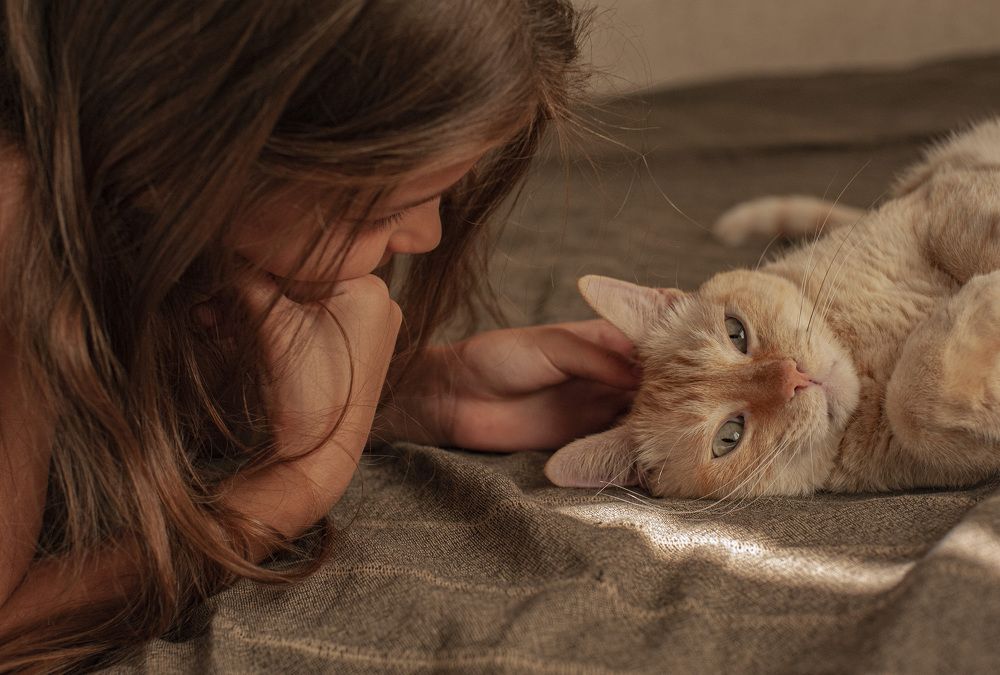 Алиса и Кардамон