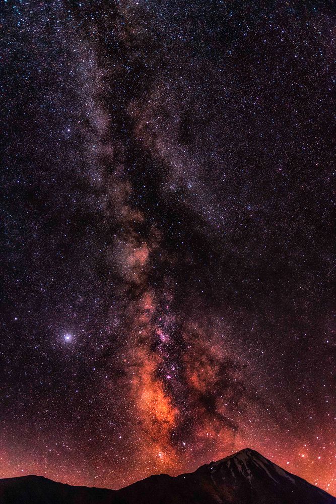 Фотография автора Milad Falahi