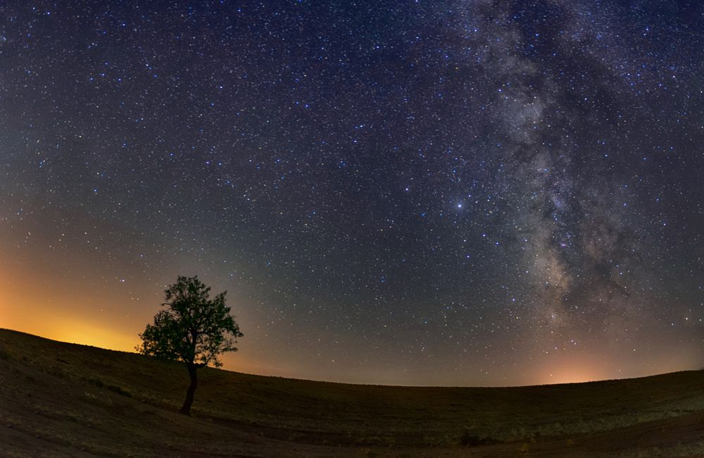 Фотография автора Milad Falahi