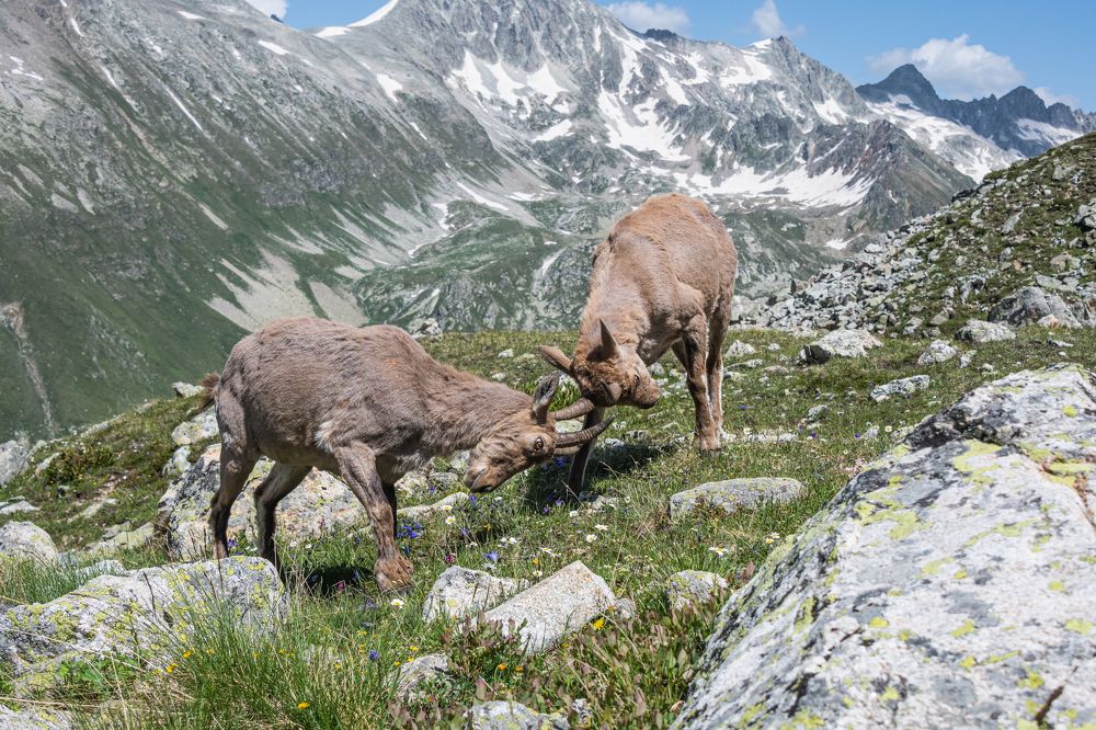 Photograph by Анастасия Григорян