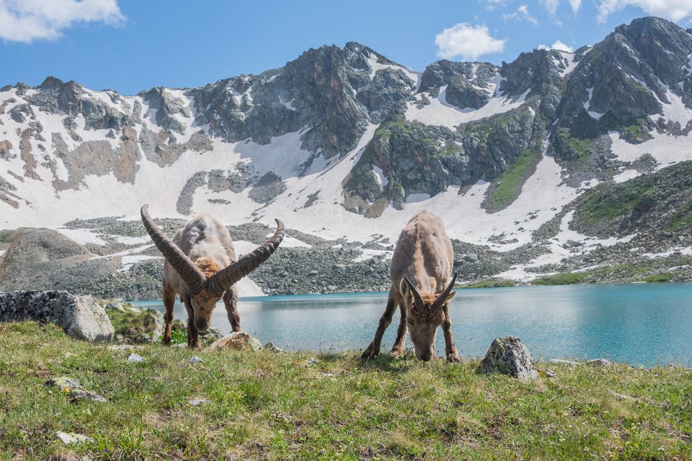 Photograph by Анастасия Григорян