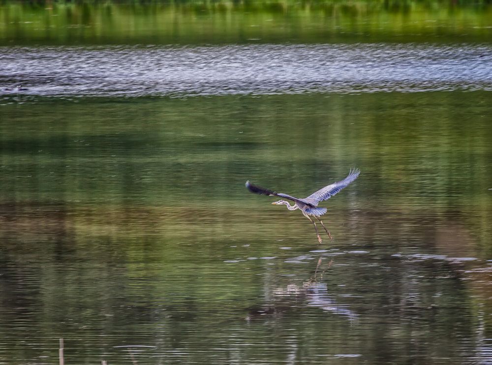 Photograph by Владимир Кваша