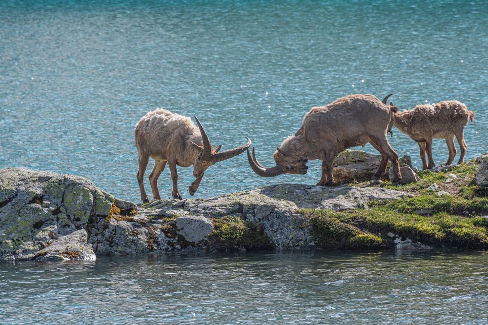 Photograph by Анастасия Григорян