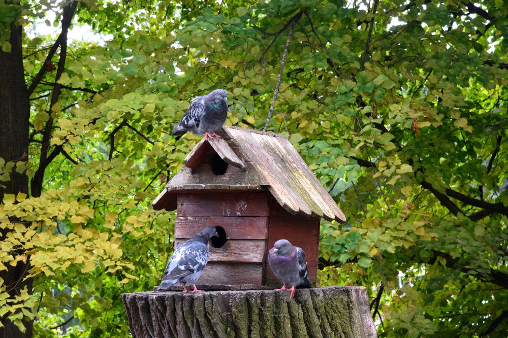 Photograph by Анатолий Орлов