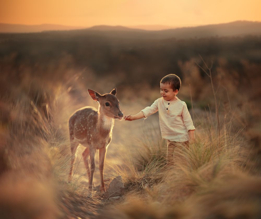 Фотография автора Emanuel Manfrin