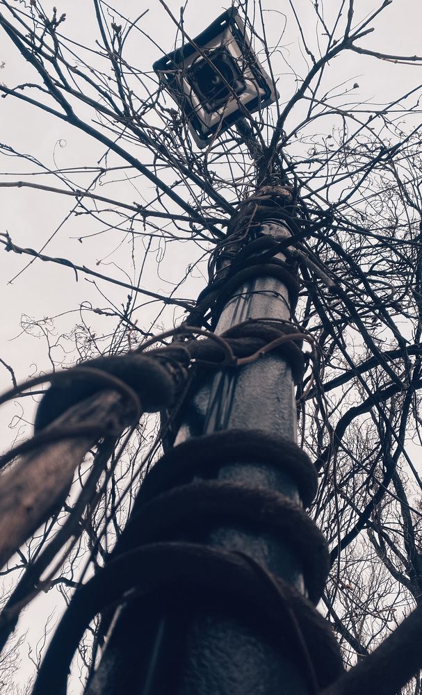 Photograph by Евгения Володина