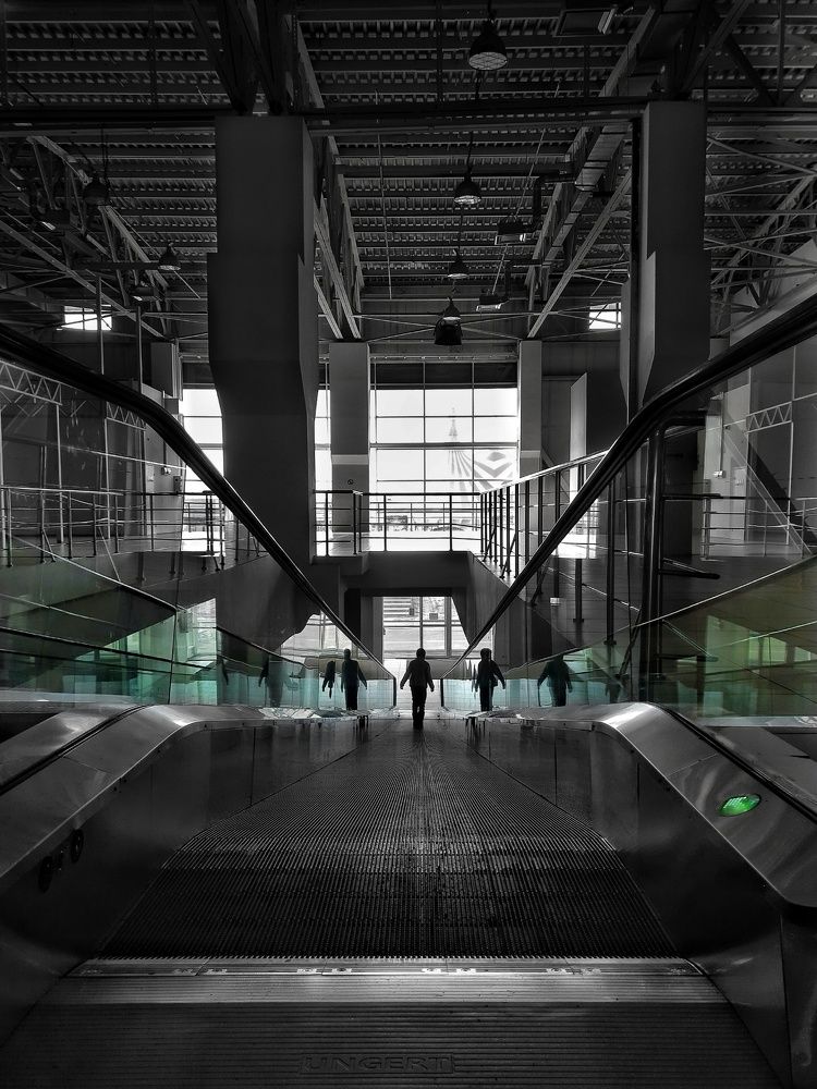 Photograph by Анастасия Дубинина