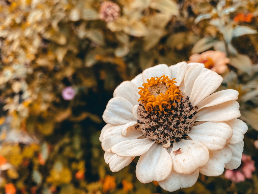 Photograph by Евгения Володина