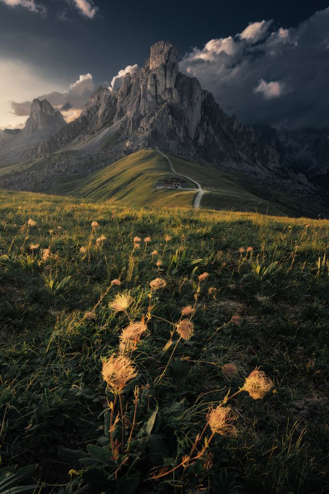 Photograph by Mario Cuò