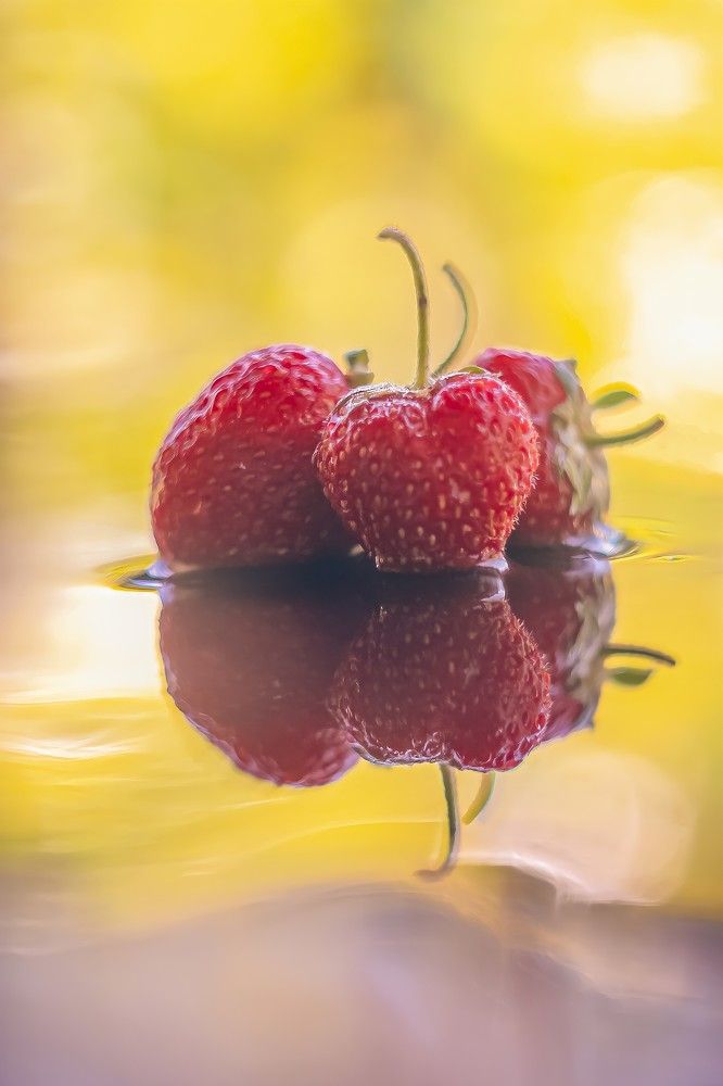 Photograph by Андрей Косяк