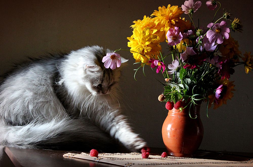 Photograph by Зоя Быкова