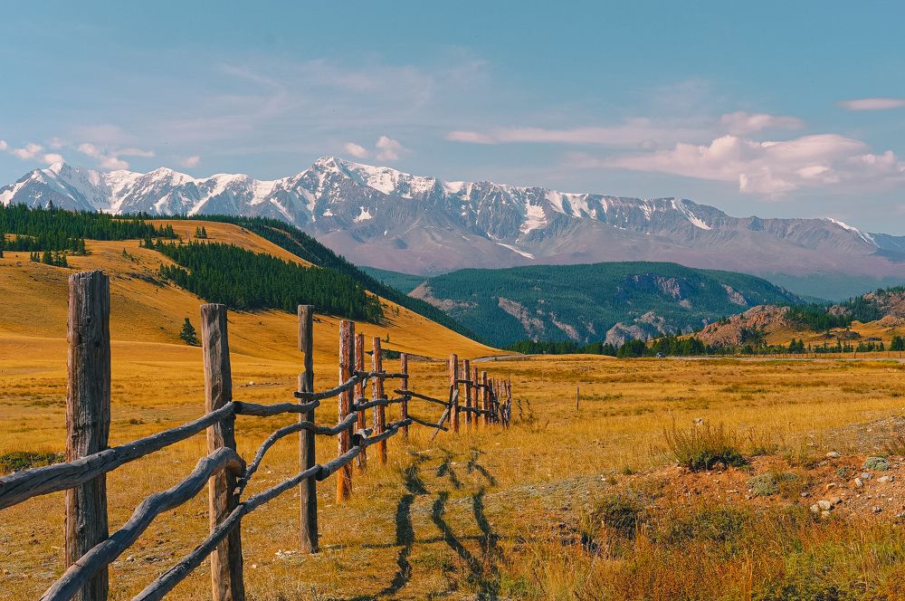 Золотой Алтай