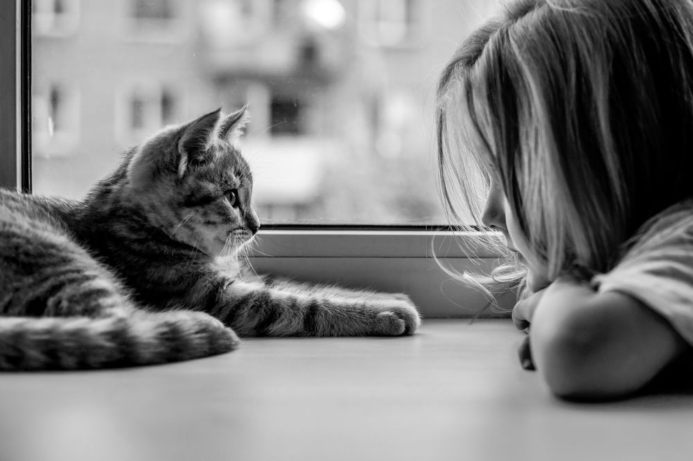 Photograph by Анастасия Макеева