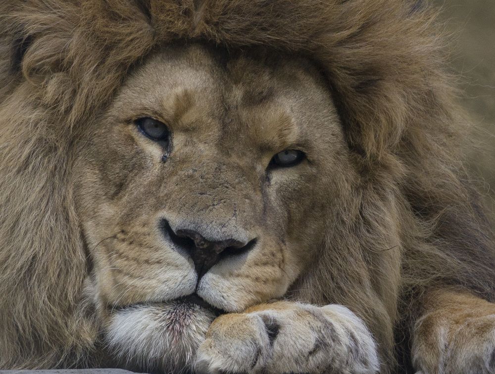 Photograph by Anna Gapanovich