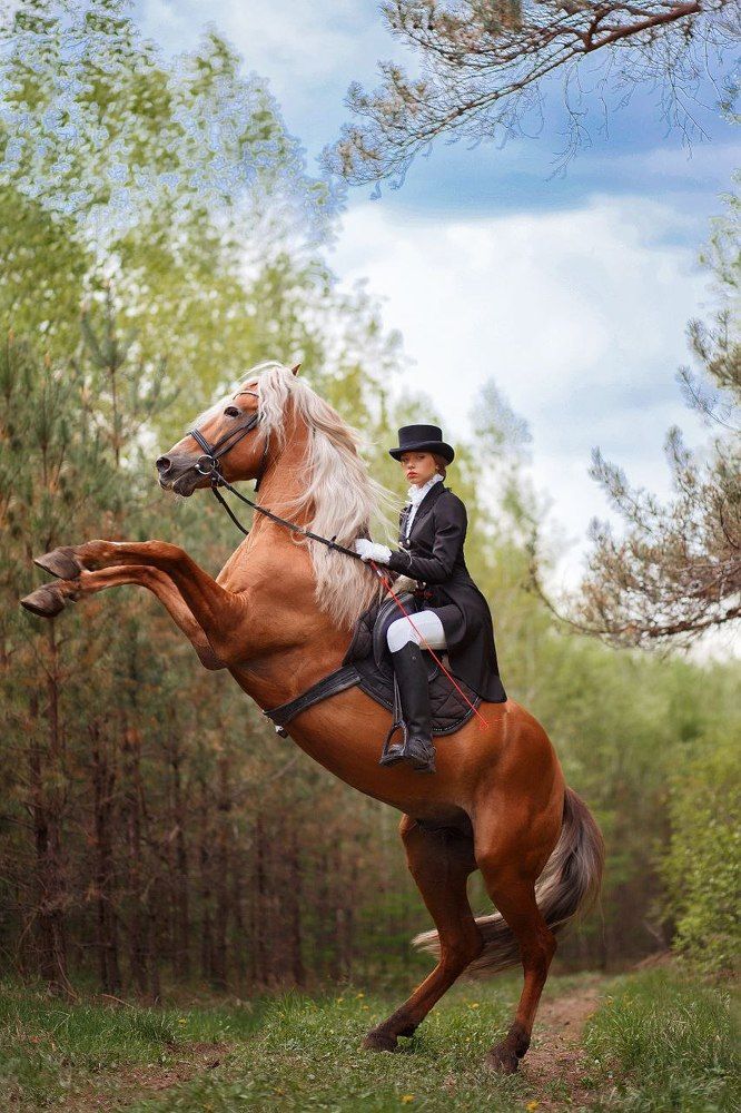 Photograph by Мария Балабанова