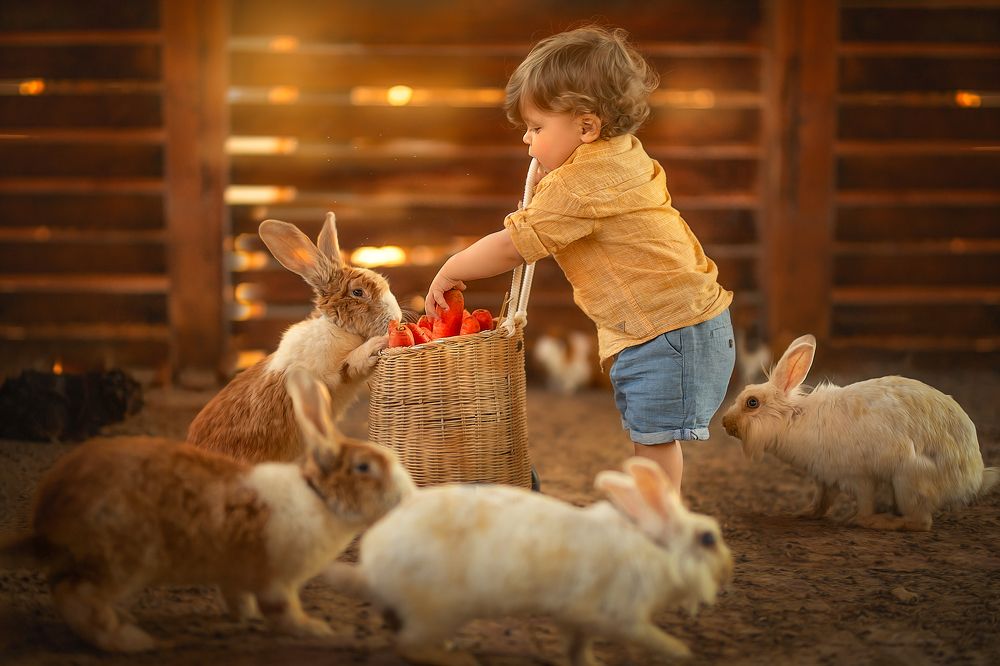 Photograph by yarden kaplan