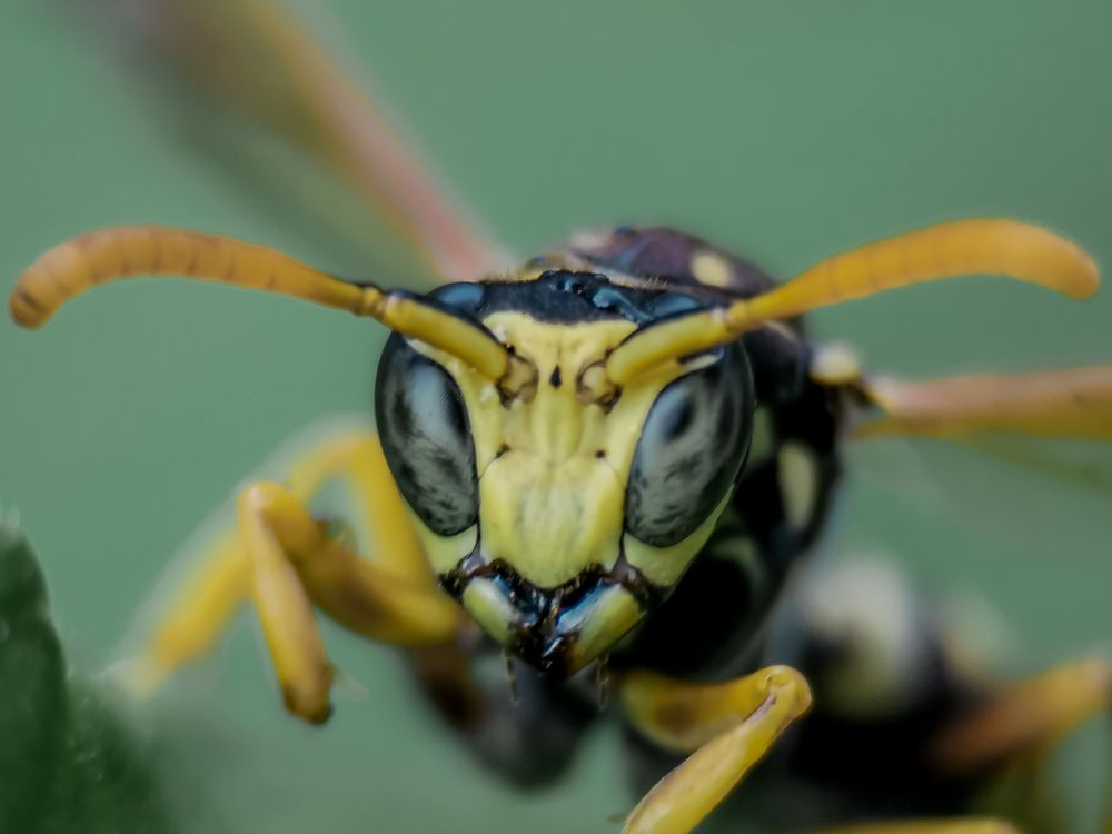 Photograph by Остап Благодатков