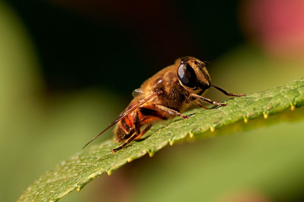 Photograph by Yuliya Khramova