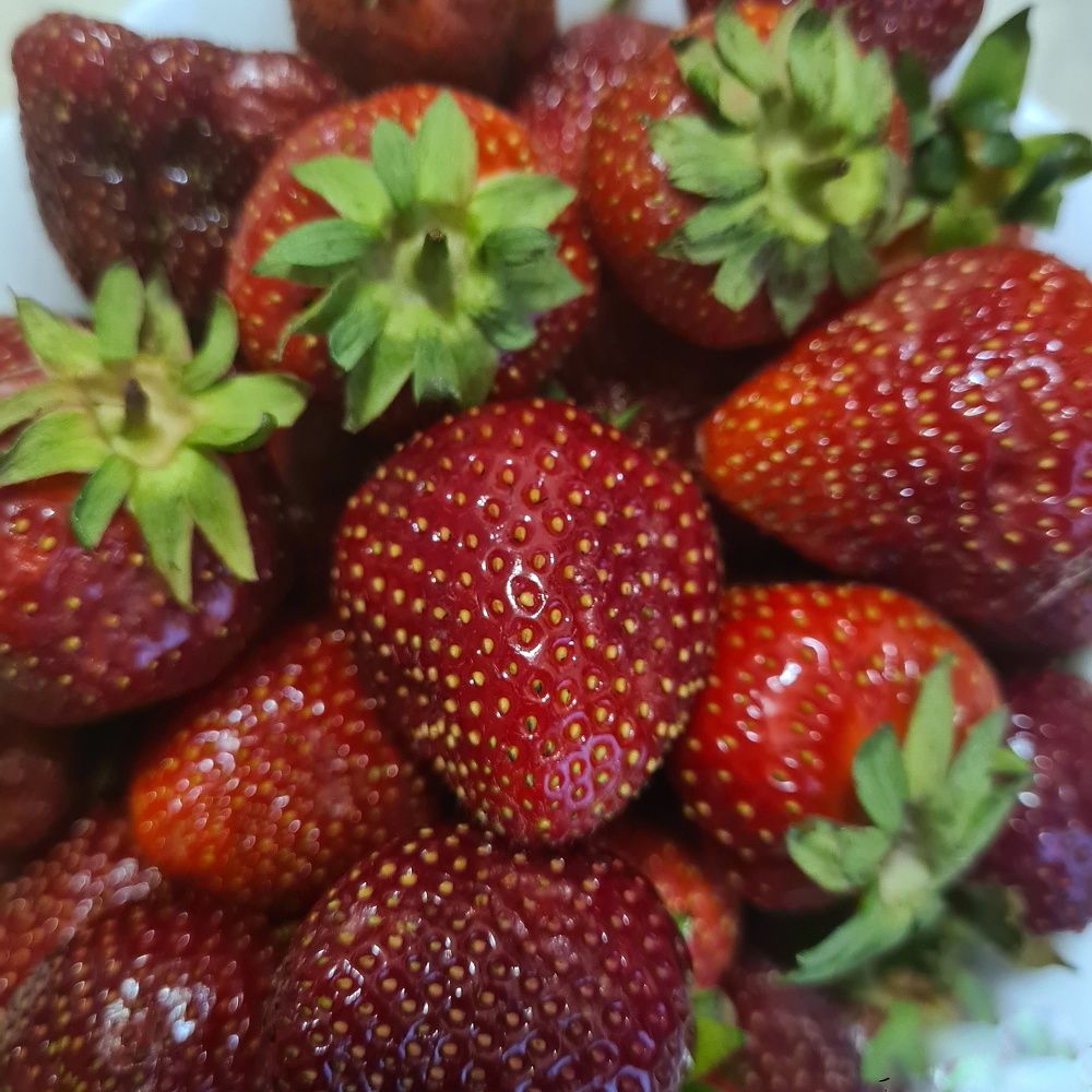 Photograph by Андрей Телибаев