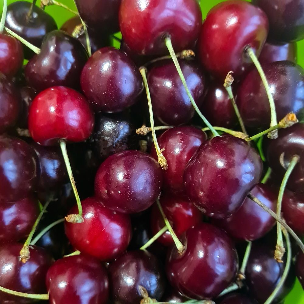 Photograph by Андрей Телибаев