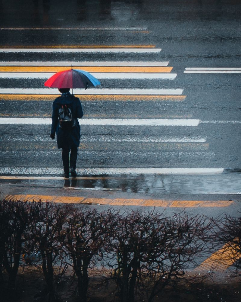 Фотография автора Николай Николин
