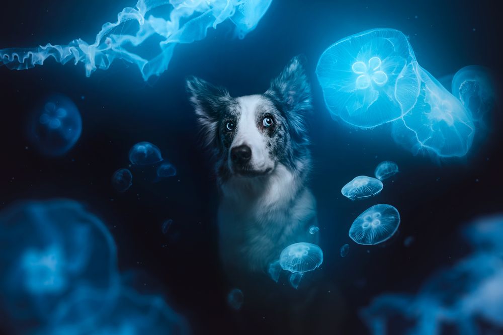 Photograph by Ve Shandor