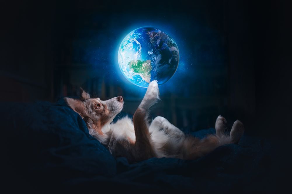 Photograph by Ve Shandor