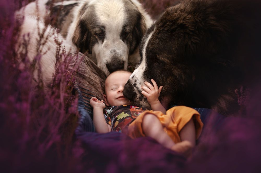 Photograph by Ve Shandor