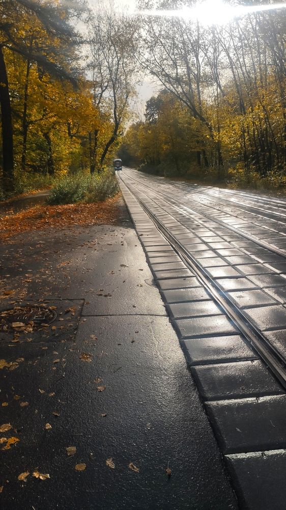 Photograph by Алим Таиров