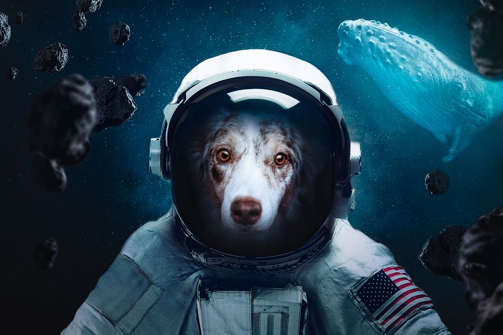 Photograph by Ve Shandor