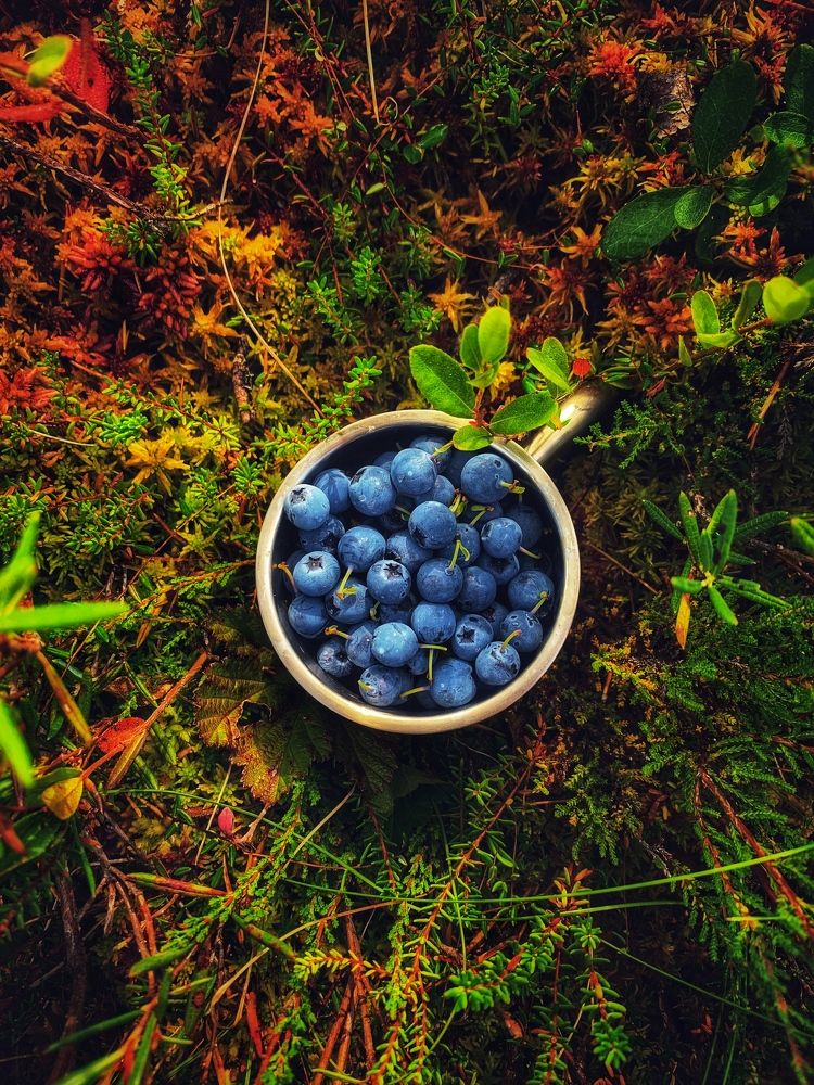 Photograph by Мария Василенко