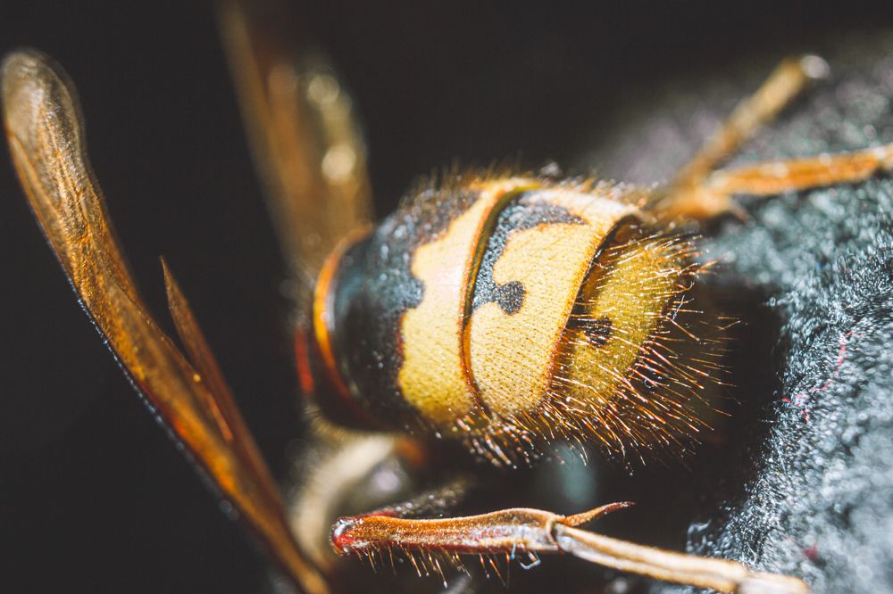 Photograph by Дмитрий Тимофеев